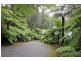 420 Mt Dandenong -Tourist Rd, Sassafras VIC 3787