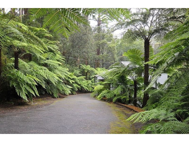 420 Mt Dandenong -Tourist Rd, Sassafras VIC 3787