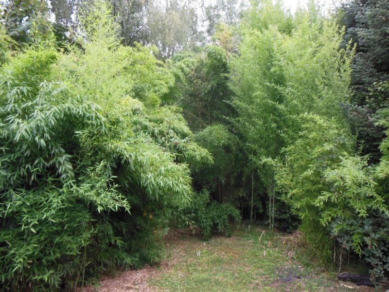 38 View Road, The Patch VIC 3792