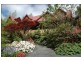 1438 Mount Dandenong Tourist Road, Mount Dandenong VIC 3767