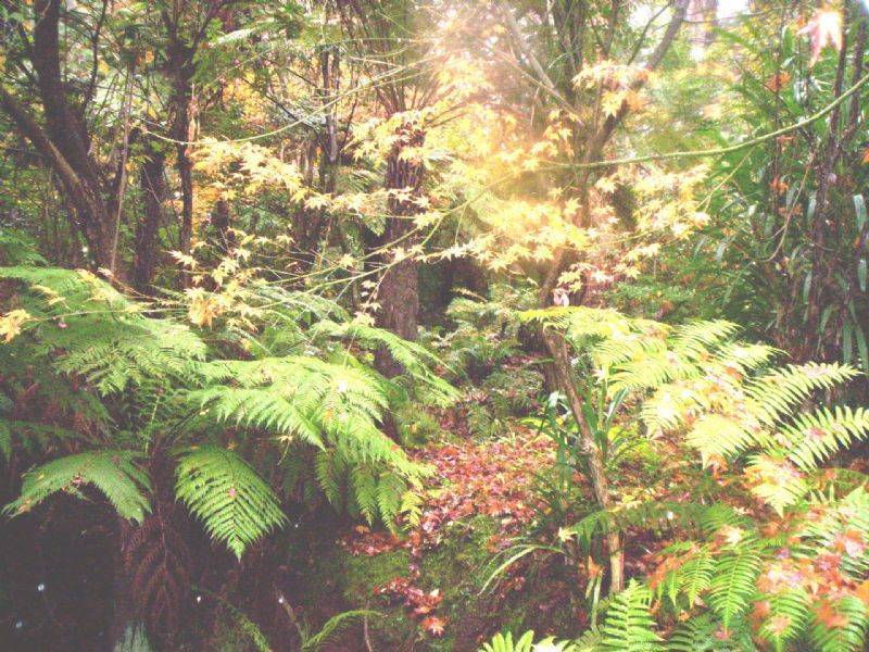 31 Jeeves Avenue, Kalorama VIC 3766