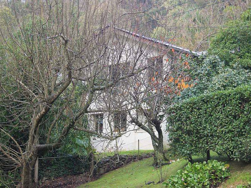 48 Arbor Avenue, Belgrave VIC 3160