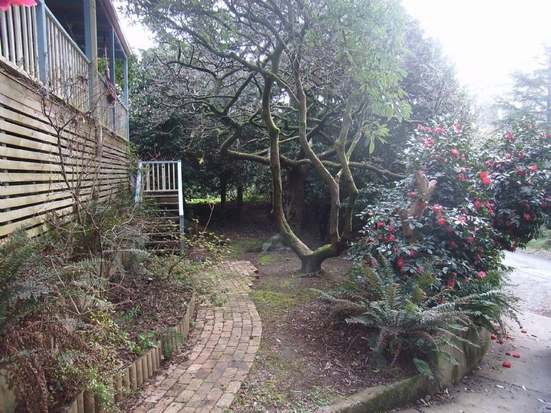 6 Robert Street, Sassafras VIC 3787