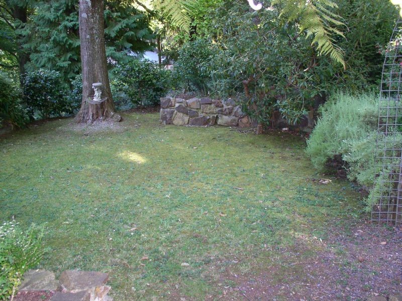 429 Mt Dandenong Tourist Road, Sassafras VIC 3787