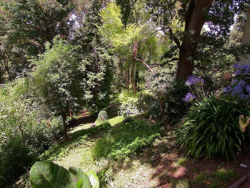 152 Mount Dandenong Tourist Road, Ferny Creek VIC 3786