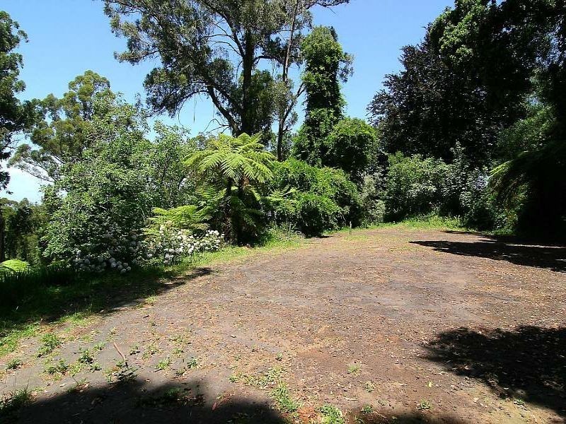 152 Mount Dandenong Tourist Road, Ferny Creek VIC 3786