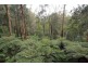 44 Jeeves Avenue, Kalorama VIC 3766