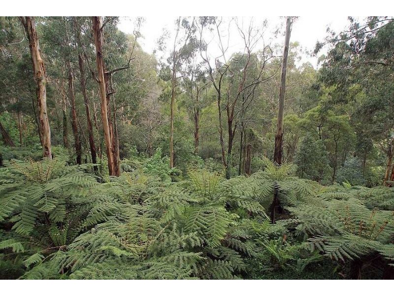 44 Jeeves Avenue, Kalorama VIC 3766