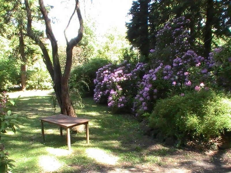 18 Hethersett Road, Sassafras VIC 3787