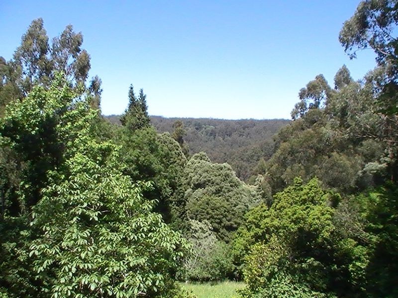 11 Ida Grove, Olinda VIC 3788