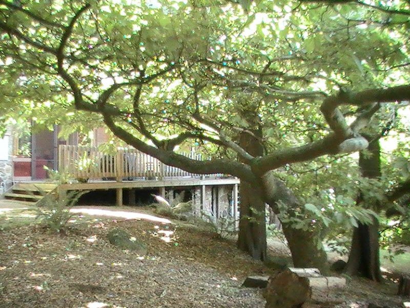 212 Mt Dandenong – Tourist Road, Ferny Creek VIC 3786