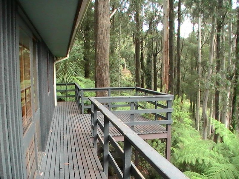 25 Nicholson Street, Olinda VIC 3788