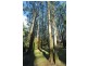 Mount Dandenong VIC 3767