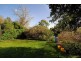 7 Walter Street, Tecoma VIC 3160