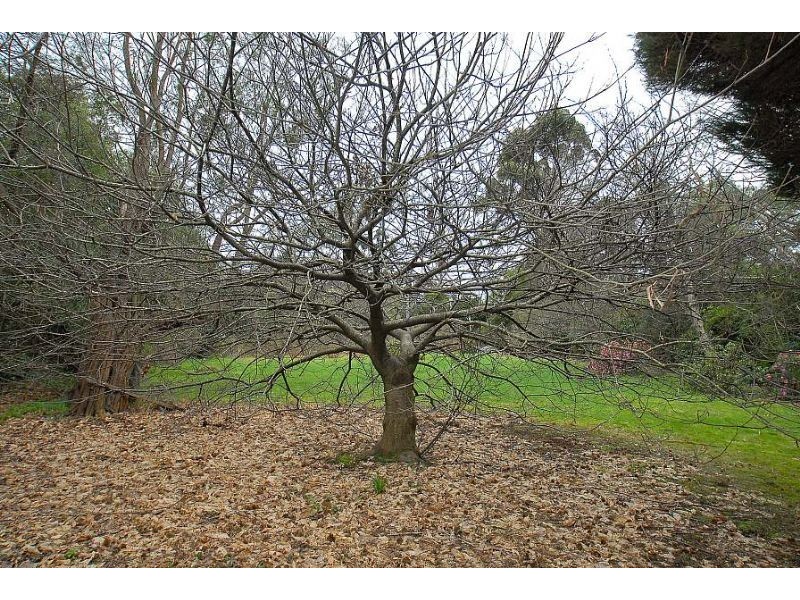 33 One Tree Hill Road, Ferny Creek VIC 3786