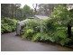 420 Mt Dandenong Tourist Road, Sassafras VIC 3787