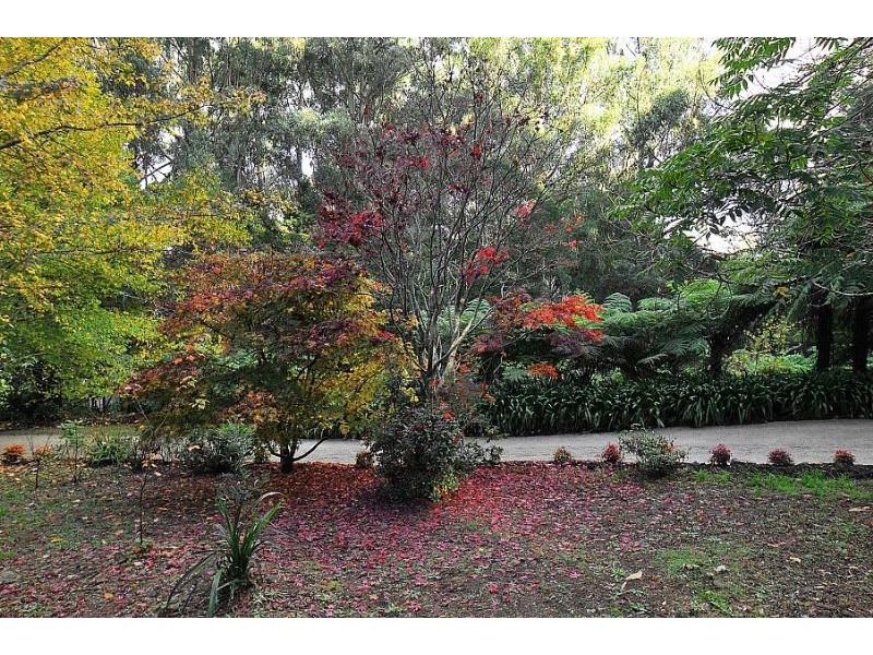 38 Upper Coonara Road, Olinda VIC 3788