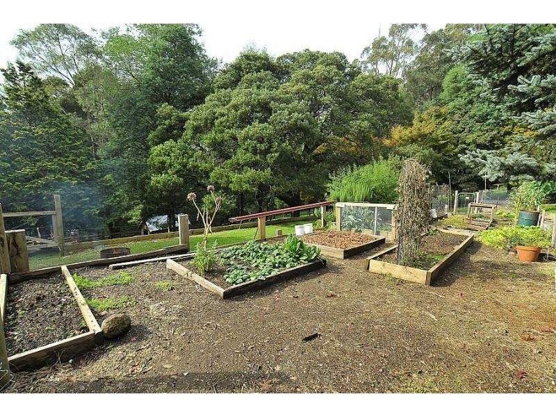 17 Sherbrooke Road, Sherbrooke VIC 3789