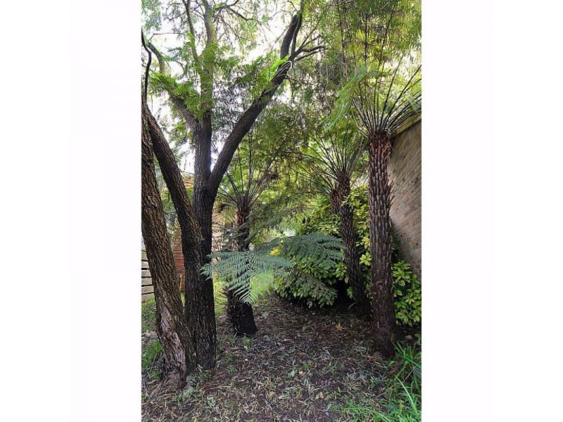 65 Kallista-Emerald Road, The Patch VIC 3792