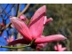 24 Olinda-Monbulk Road, Olinda VIC 3788
