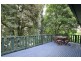 8 Anderson Road, Tecoma VIC 3160