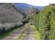2 BlueBell Court, The Patch VIC 3792