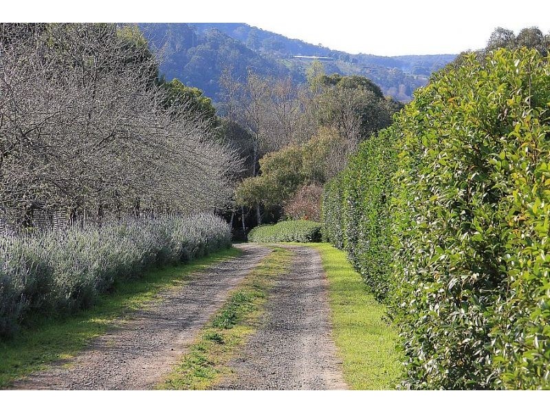 2 BlueBell Court, The Patch VIC 3792