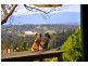 2 BlueBell Court, The Patch VIC 3792