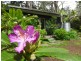 A/37 Sherbrooke Lodge Road, Sherbrooke VIC 3789