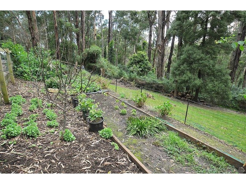 20 Bolton Road, Belgrave South VIC 3160