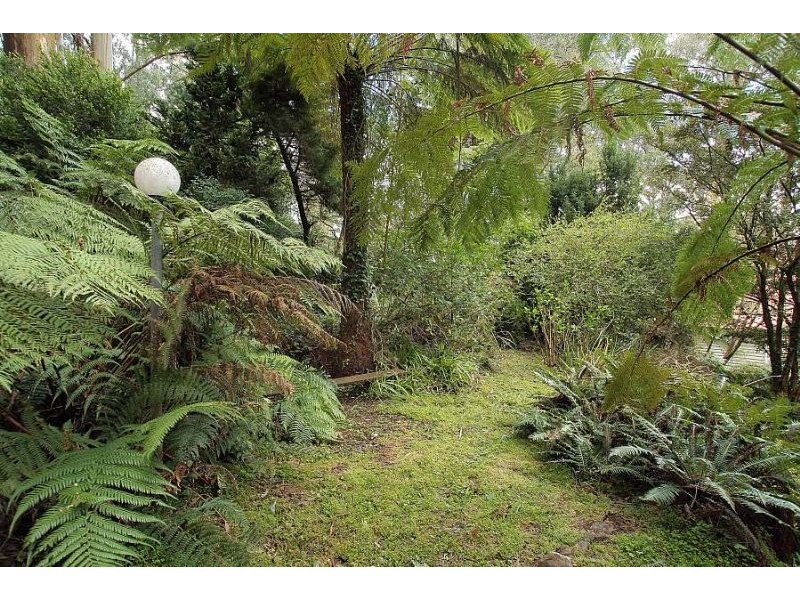 415 Mt Dandening Tourist Road (Enter off Driffield), Sassafras VIC 3787