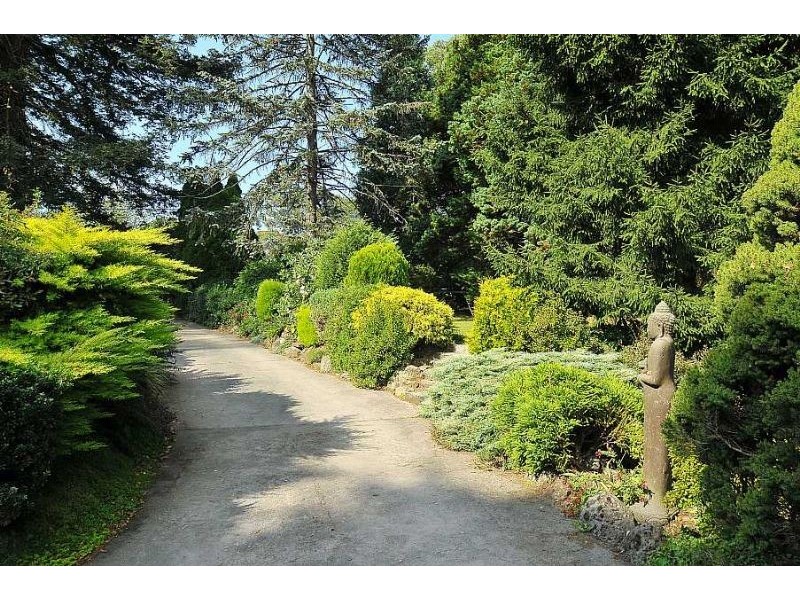 36 Hilton Road, Ferny Creek VIC 3786