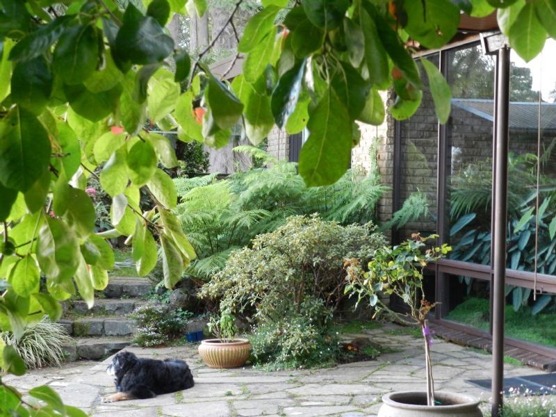 36 Hilton Road, Ferny Creek VIC 3786