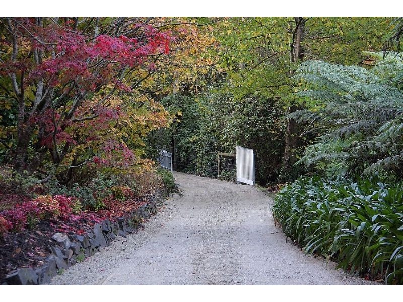 38 Upper Coonara Road, Olinda VIC 3788