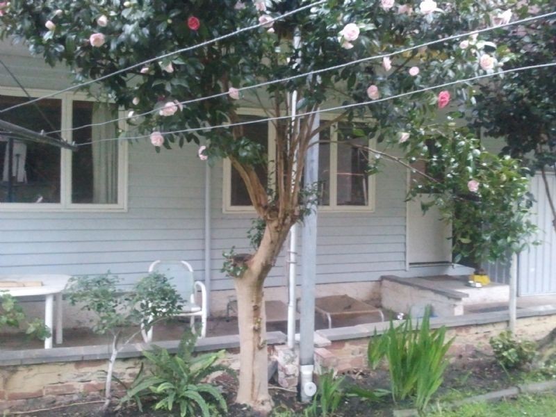 12a Briggs Street, Mont Albert North VIC 3129