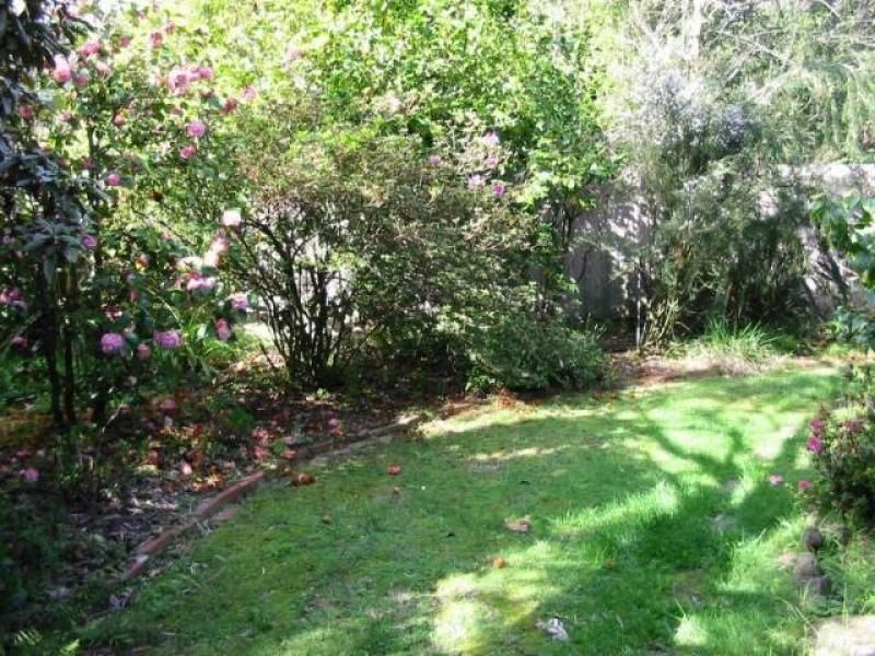17 Oliver Avenue, Blackburn VIC 3130