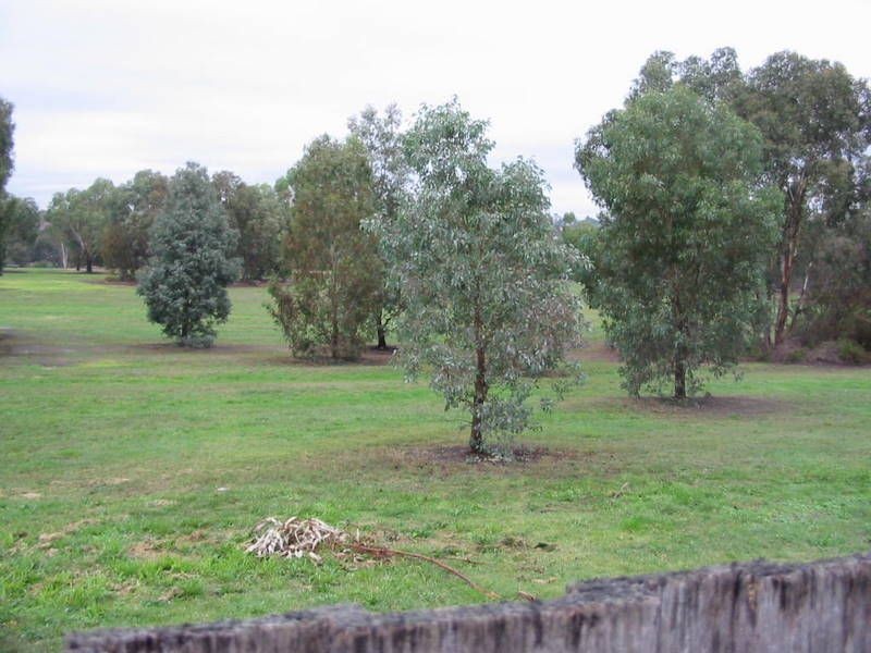 64 Canora Street, Blackburn South VIC 3130