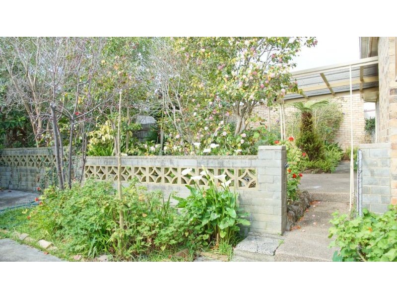 33 Malcolm Street, Blackburn VIC 3130