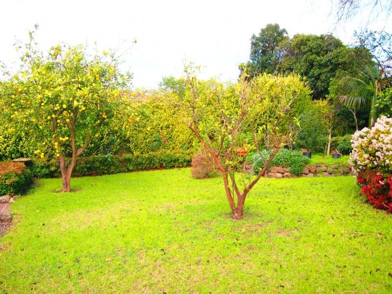 8 Crockerton Court, Blackburn South VIC 3130