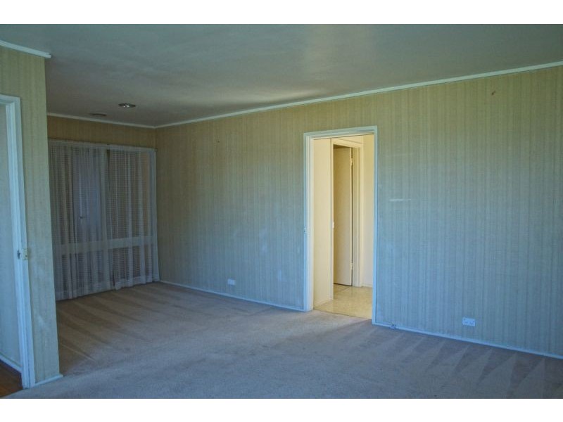 51 Pickford Street, Burwood East VIC 3151