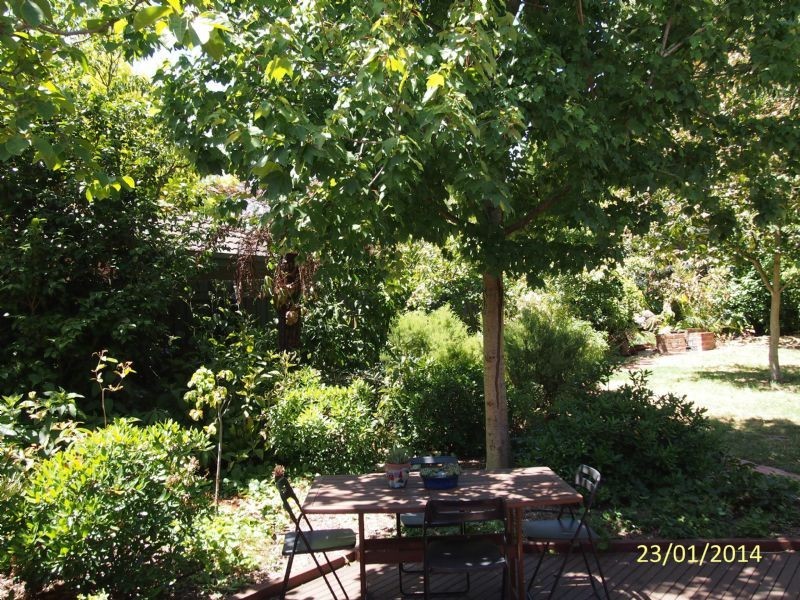 13 Pakenham Street, Blackburn VIC 3130