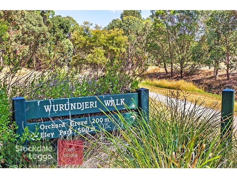 6 Illowra Walk, Blackburn South VIC 3130