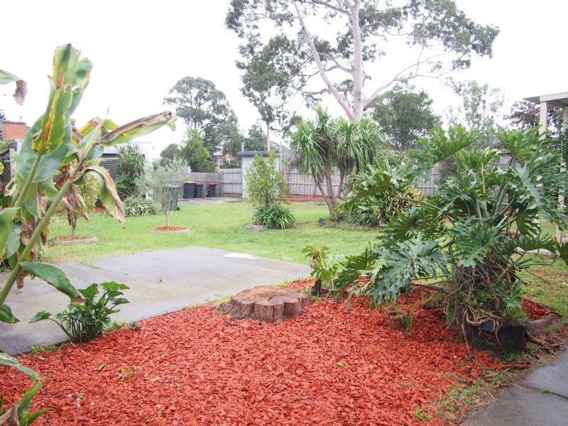 97 Blackburn Road, Mount Waverley VIC 3149