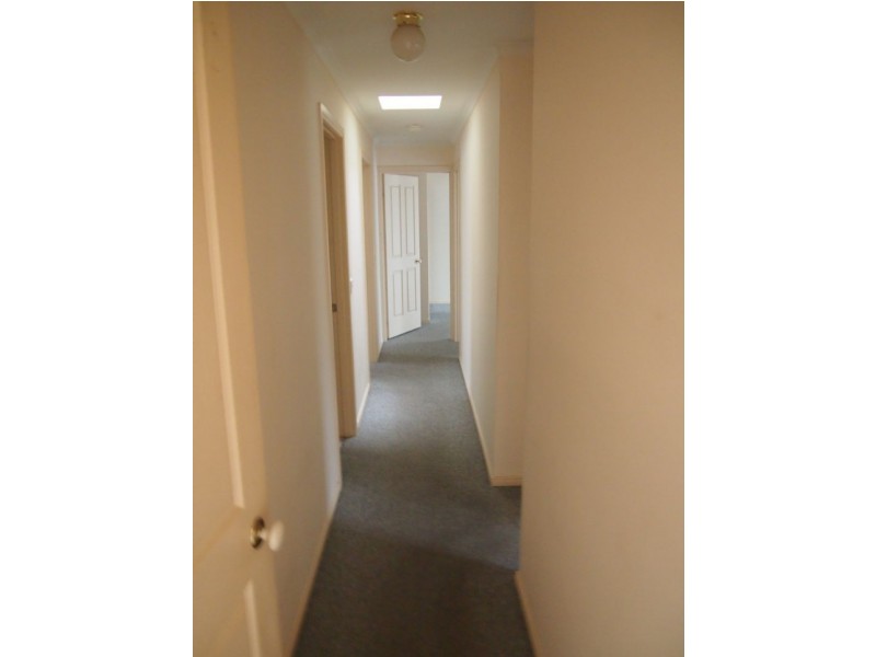 2/3 Shawlands Avenue, Blackburn South VIC 3130