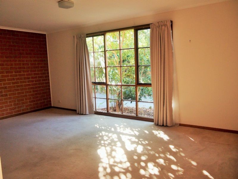 3/18 Barkly Street, Box Hill VIC 3128