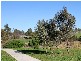 2 Blau Street, Bundoora VIC 3083