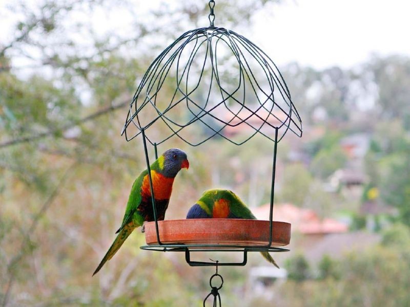 21 Somerleigh Crescent, Greensborough VIC 3088