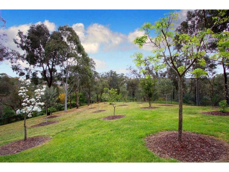 99 Hume Street, Greensborough VIC 3088