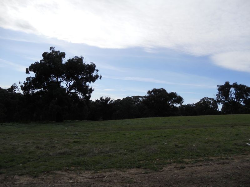 Bundoora VIC 3083