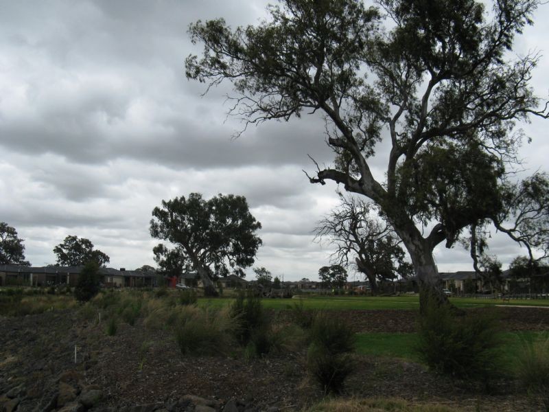 10 Connors Road, Mernda VIC 3754